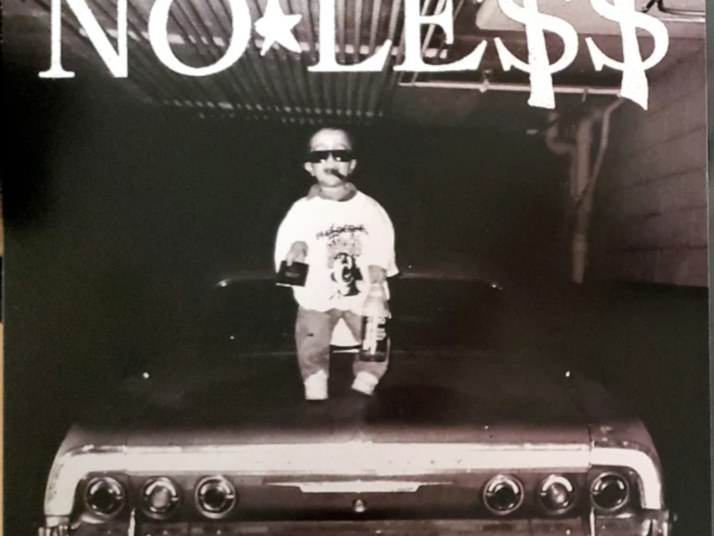 NO LE$$ – LE$$ON 1 – REPRINT NOW AVAILABLE